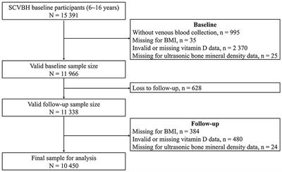 Frontiers Relationships for vitamin D with childhood height